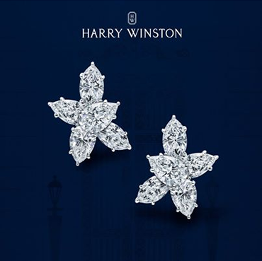 harry winston digital