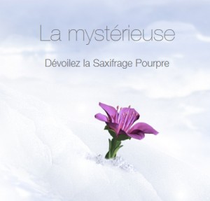 la prairie