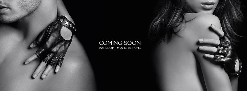 facebook cover karl