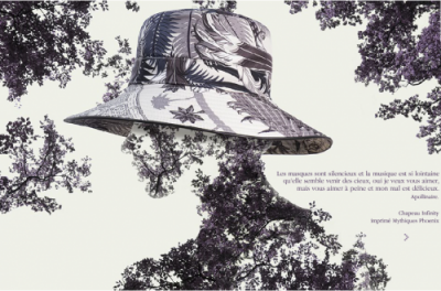 Chapeau Infinity Imprimé Mythiques Phoenix